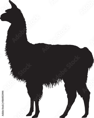 Silhouette of a llama standing alone isolated on a transparent background suitable for design projects