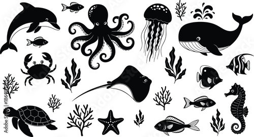 Marine silhouettes, ocean creatures, underwater animals, black and white, sea life, coral reef, aquatic design, dolphin, whale, jellyfish, turtle, fish