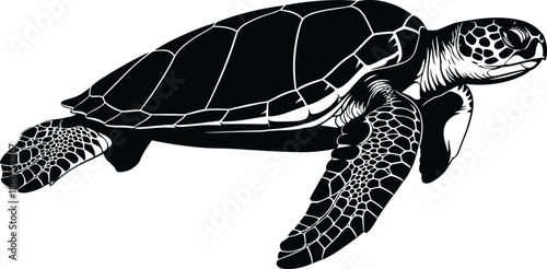 Sea turtle, marine animal, ocean wildlife, swimming posture, black and white, detailed shell, silhouette style, aquatic nature, underwater creature, reef life