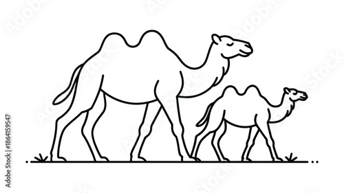 An adult camel and its young calf walking together in a serene desert landscape outline