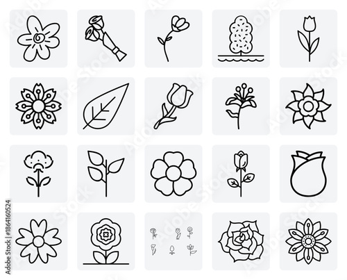 Illustrations Of Floral Growth And Nature – The Beauty Of A Blooming Rose Or Lily With Detailed Petals