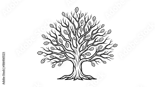 Robust oak tree with detailed foliage and spreading branches, nature symbol, isolated white background