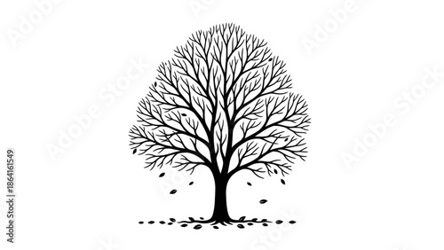 Bare tree with falling leaves at its base, autumn transition, isolated white background