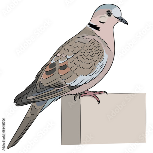 A placeholder image indicating the availability of a high-quality vector graphic file