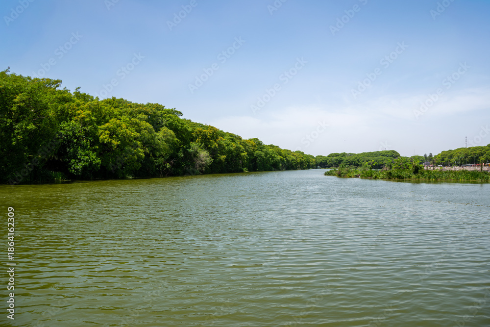 Fototapeta premium View of Costanera Sur Reserve - Buenos Aires, Argentina