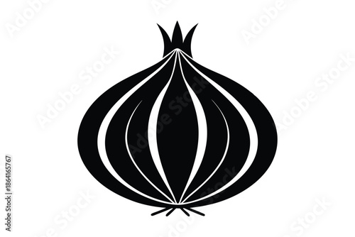 Onion silhouette on white background