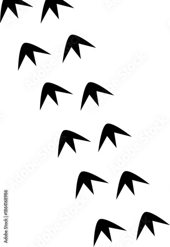 Black silhouette of chicken footprints trail, poultry bird tracks isolated on white background