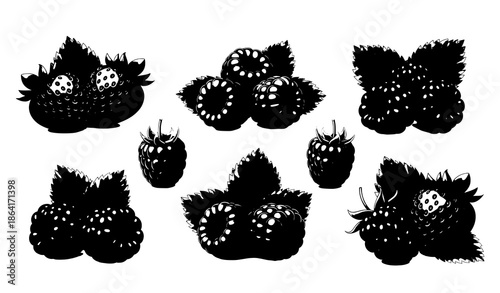 3D berry fruits realistic food vector for packaging design