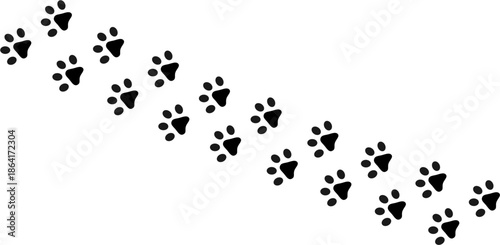 High Quality Panda Footprint Vector, Animal Track Silhouette for Print