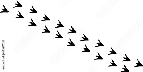 Diagonal path of webbed bird footprints, duck or goose tracks silhouette isolated on white background, wildlife movement vector illustration.