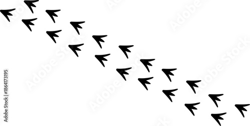 Bird footprint trail vector illustration, black duck or goose tracks isolated on white background