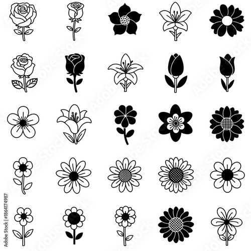 Collection of beautiful floral vector illustrations, diverse flower designs for graphic creation, nature-inspired elements for art and design projects, aesthetic botanical outlines