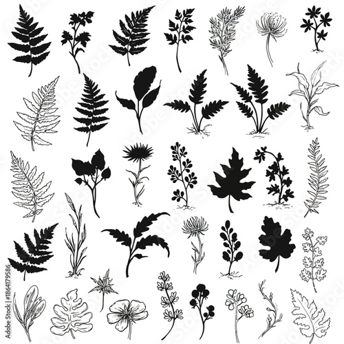 Vector collection of hand-drawn botanical elements diverse leaves, ferns, and flower doodles. Perfect for nature-inspired design and illustrations