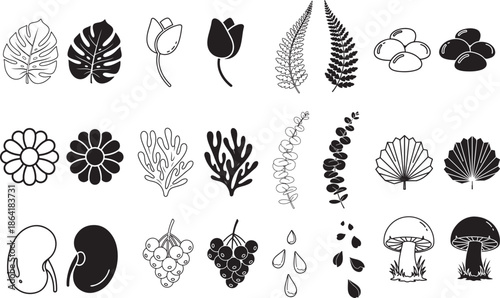 black and white illustrations of various plants and fungi on white background