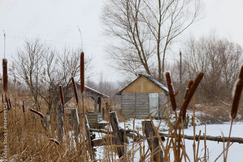 Φωτογραφία A cozy wooden house stands on the shore of a frozen pond amidst tall dry reeds during a heavy snowfall