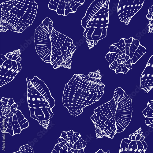 Seashells seamless pattern vector illustration. Hand drawn.