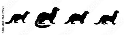 Sequence of ferrets in various poses