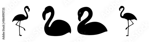 Four silhouetted flamingos