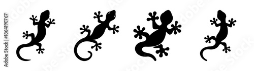 Four silhouetted geckos