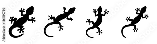 Four geckos in silhouette