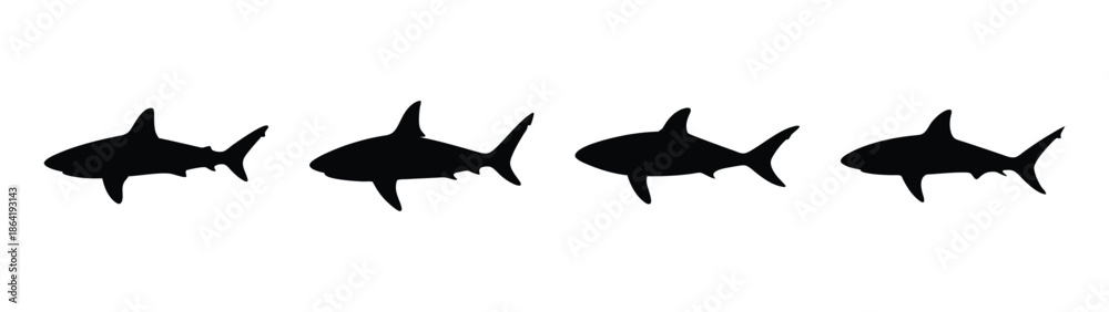 Fototapeta premium Basic vector file illustration