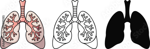 Human lungs silhouette & Outline and illustration set isolated on transparent background
