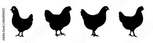 Four silhouetted chickens
