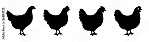 Four silhouetted chickens
