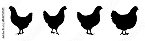 Four silhouetted chickens
