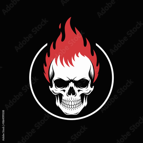 An eye-catching graphic of a skull with flames emphasizes a powerful and edgy theme, perfect for those looking for bold representations in art.