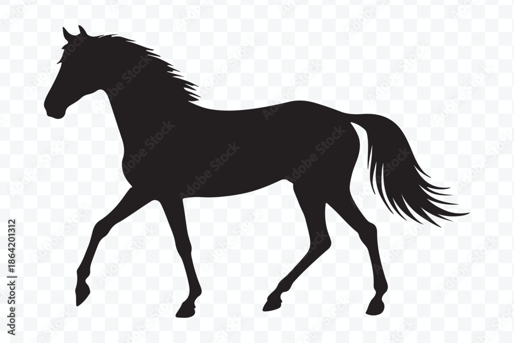 Obraz premium black silhouette horse vector design with different style isolated on transparent background
