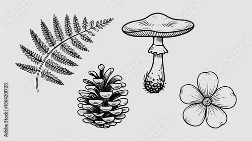 black and white drawing of natural forest elements  plants and fungus