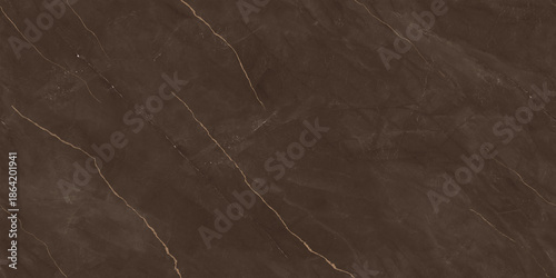 Tableau sur toile Elegant dark brown marble texture with natural stone veins and subtle glossy details