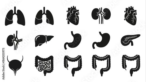 Set of human internal organs icons and symbols, flat vector illustration collection