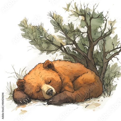 Bear Resting Peacefully, vector clipart in watercolor with smooth gradients, isolated on a white background.