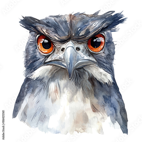 watercolor of Potoo painting, isolated on a white background.