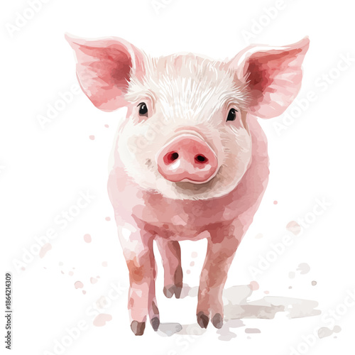 Pig, watercolor illustration featuring soft shadows and luminous, isolated on a white background.