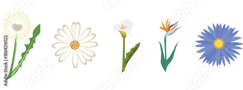 A simple textual representation indicating the presence of a scalable vector file