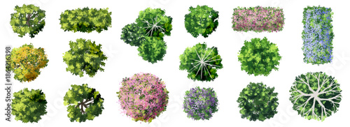 Vector set of Top view green tree for outdoor plan or map and architecture drawing, elements for environment and garden ,botanical elements ,Blooming flowers in spring,tropical plants element