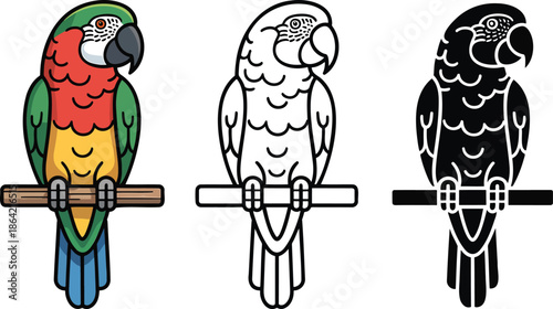 Parrot silhouette & Outline and illustration set isolated on transparent background