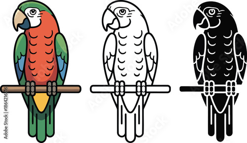 Parrot silhouette & Outline and illustration set isolated on transparent background
