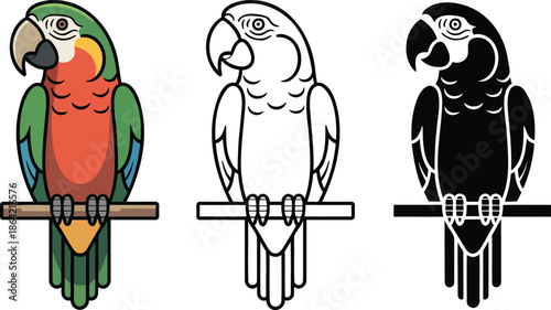 Parrot silhouette & Outline and illustration set isolated on transparent background