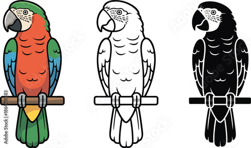 Parrot silhouette & Outline and illustration set isolated on transparent background