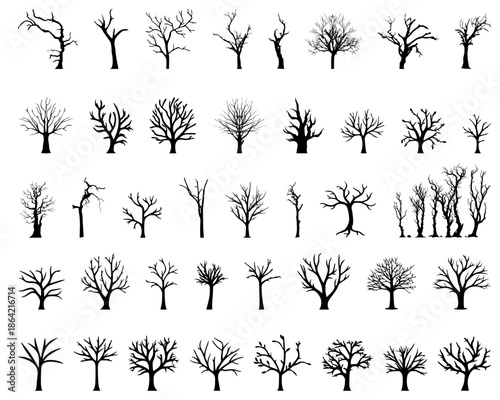 Bare Tree Silhouette Set Black Leafless Dead Branch Icon Collection Isolated on White Vector Illustration