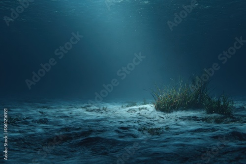 Underwater scene of a sandy bottom with aquatic vegetation