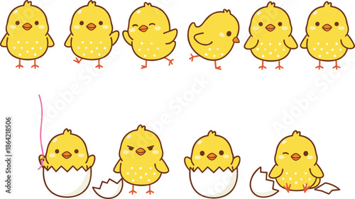 Cute baby chick cartoon character set with walking poses and hatching sequence isolated on white