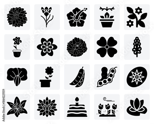 Fotografie Garden Flower Varieties – Peony, Lily, And Lavender Blooms For Botanical Illustr
