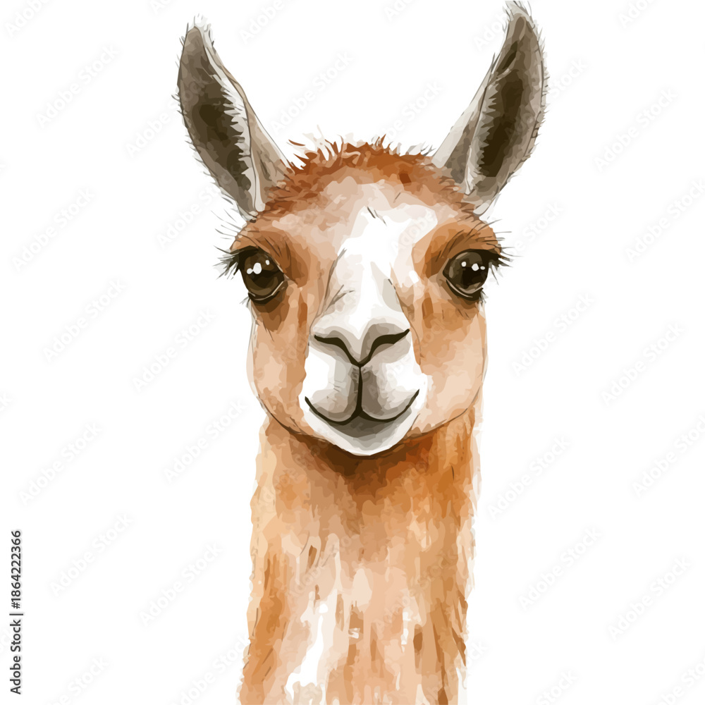 Fototapeta premium Llama, watercolor illustration featuring soft shadows and luminous, isolated on a white background.