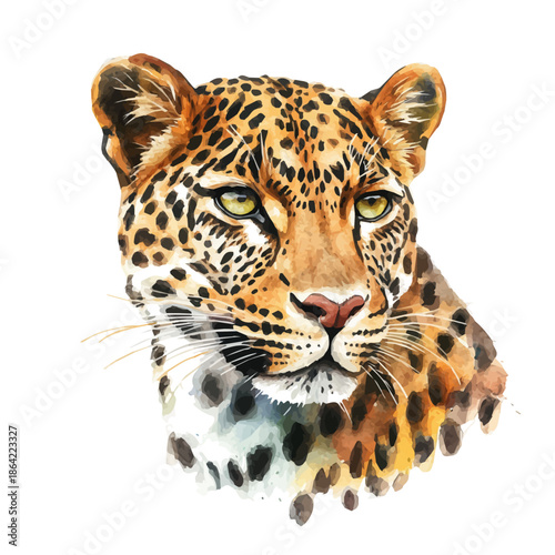 Photography Leopard, watercolor clipart showing delicate textures and whimsical forms, isolated on a white background