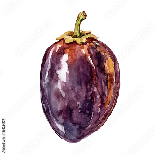 Date, watercolor illustration featuring soft shadows and luminous, isolated on a white background.